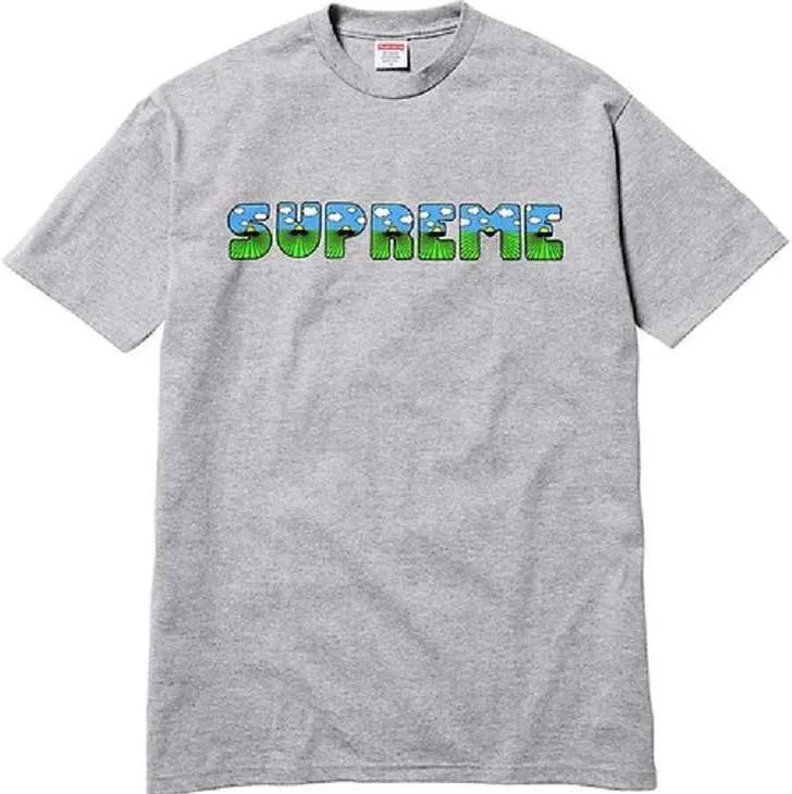 SUPREME - THE SHIT TEE (HEATHER GREY)