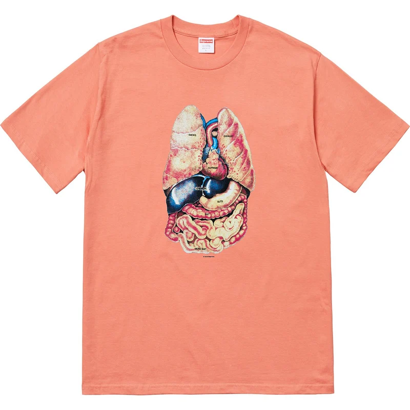 SUPREME - GUTS TEE (TERRACOTTA)