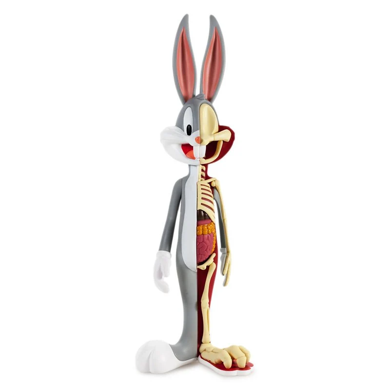 JASON FREENY - ANATOMICAL WABBIT (BUGS BUNNY REGULAR VERSION)