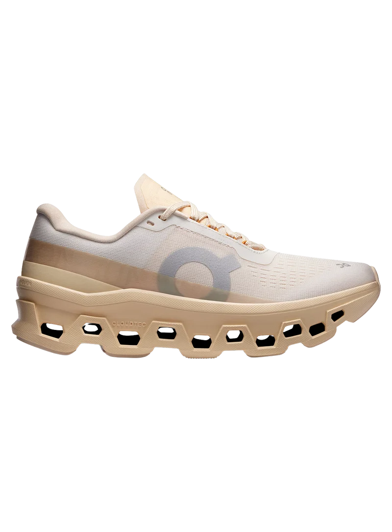 Zapatillas Cloudmonster 1