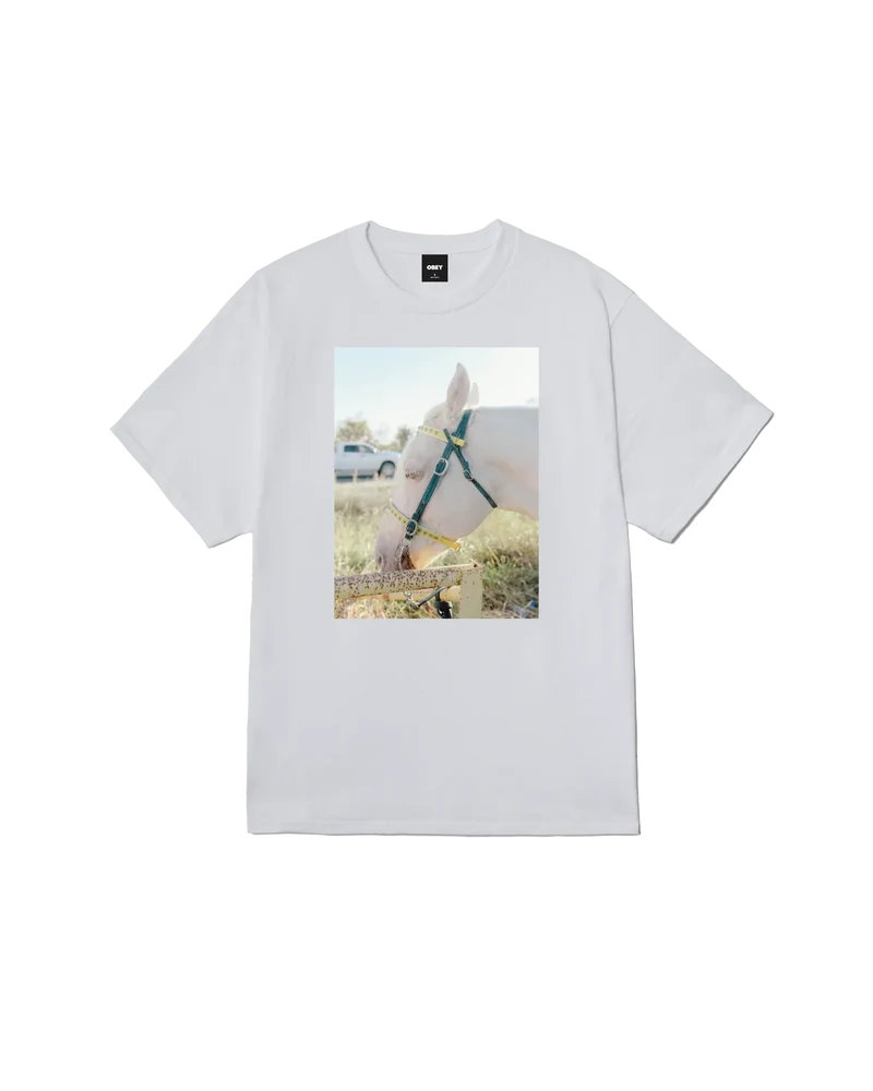 Camisetab Obey Rodeo Queen