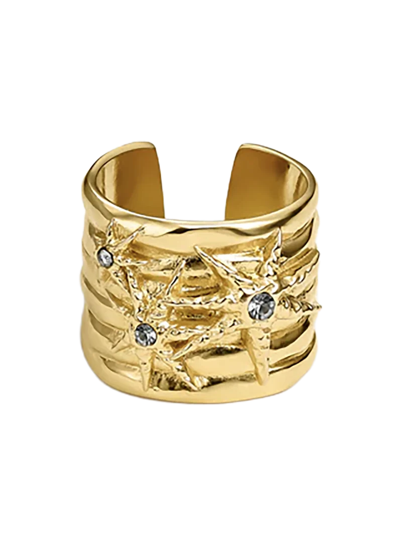 Anillo Órbita