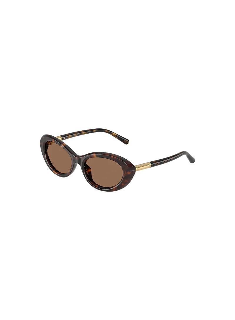 Gafas De Sol Dg4519