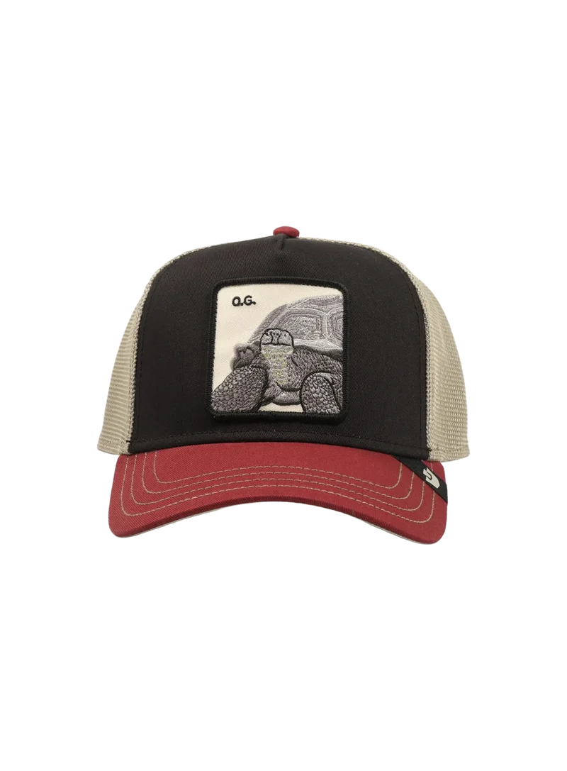Gorra Tricolor Tortiouse