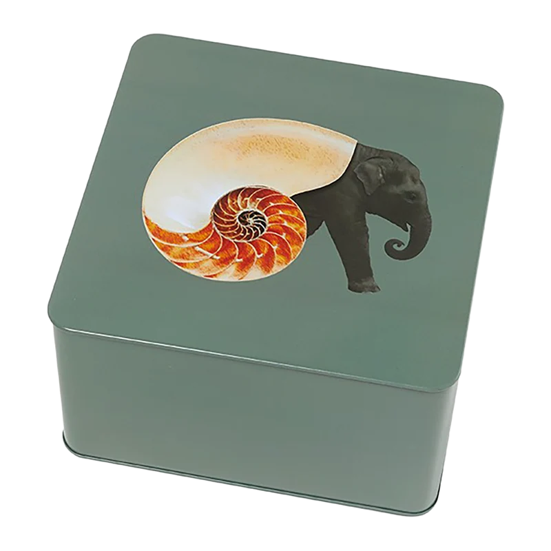 Caja Shellephant