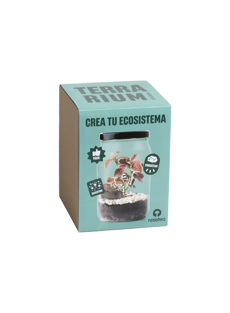 Kit Terrarium