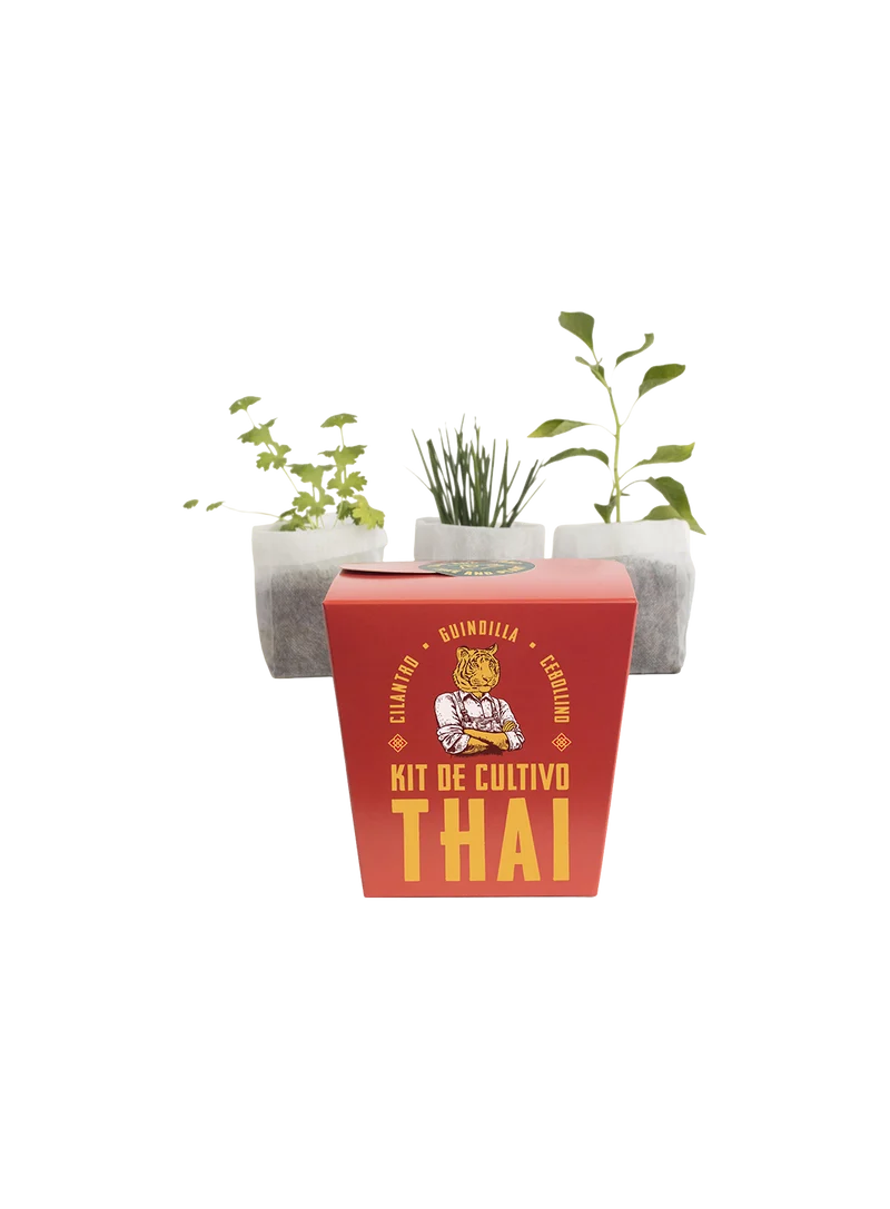 Kit Thai