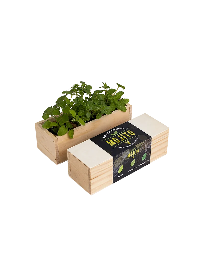 Kit Autocutivo Mojito