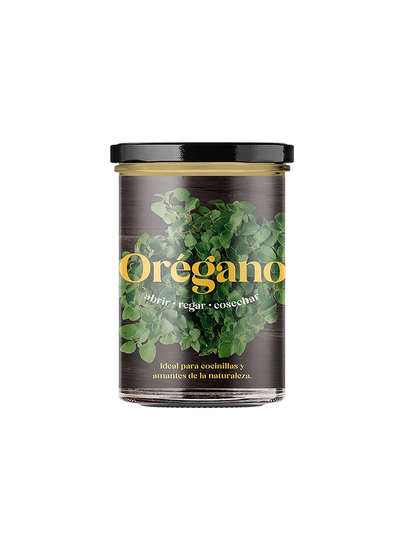 Huerto De Cocina De Orégano