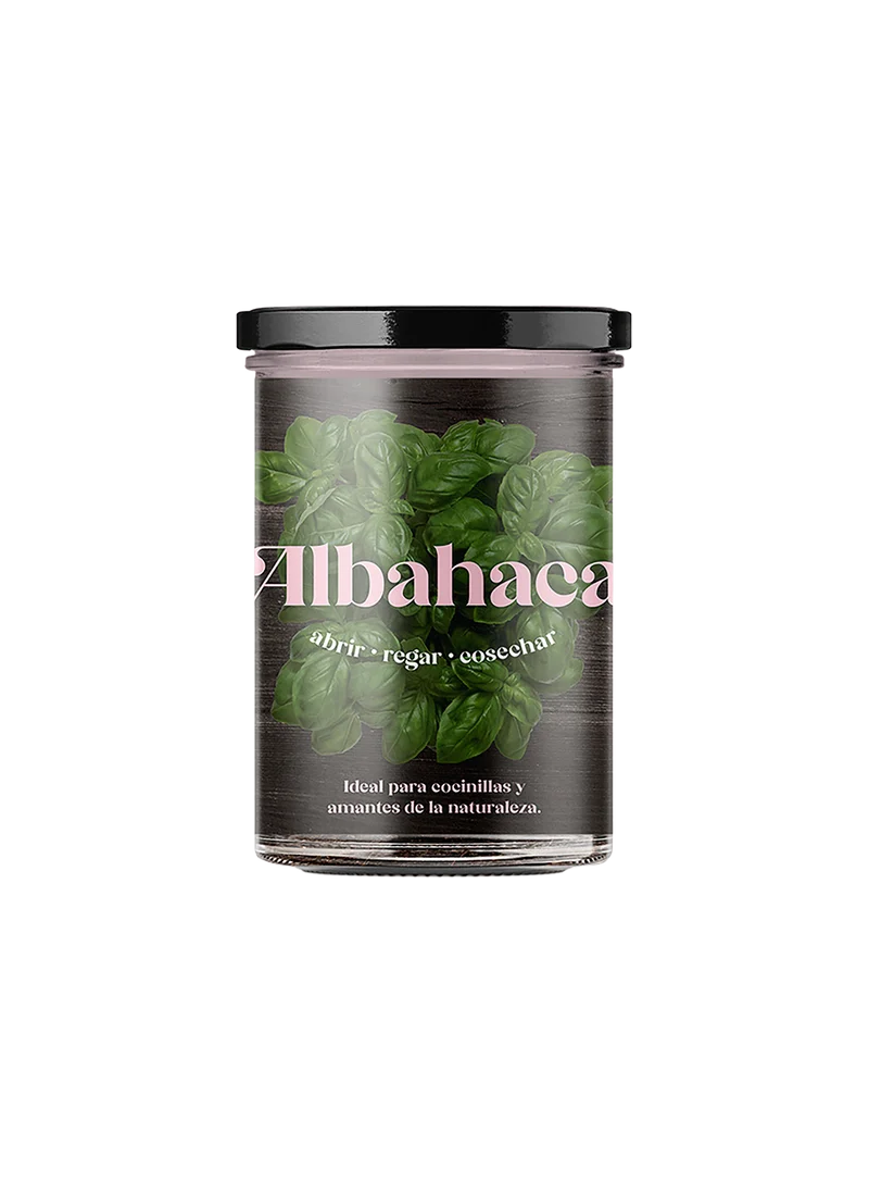 Huerto De Cocina De Albahaca