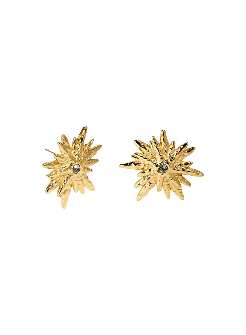 Pendientes Estelar