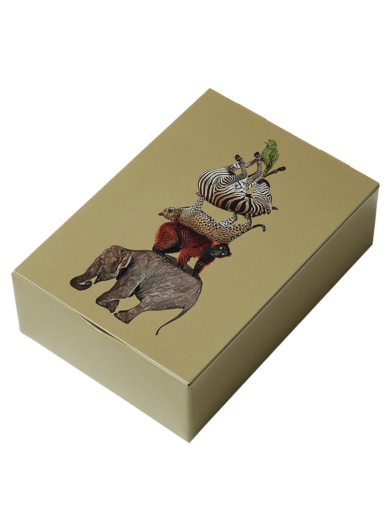 Caja Rectangular Culbuto