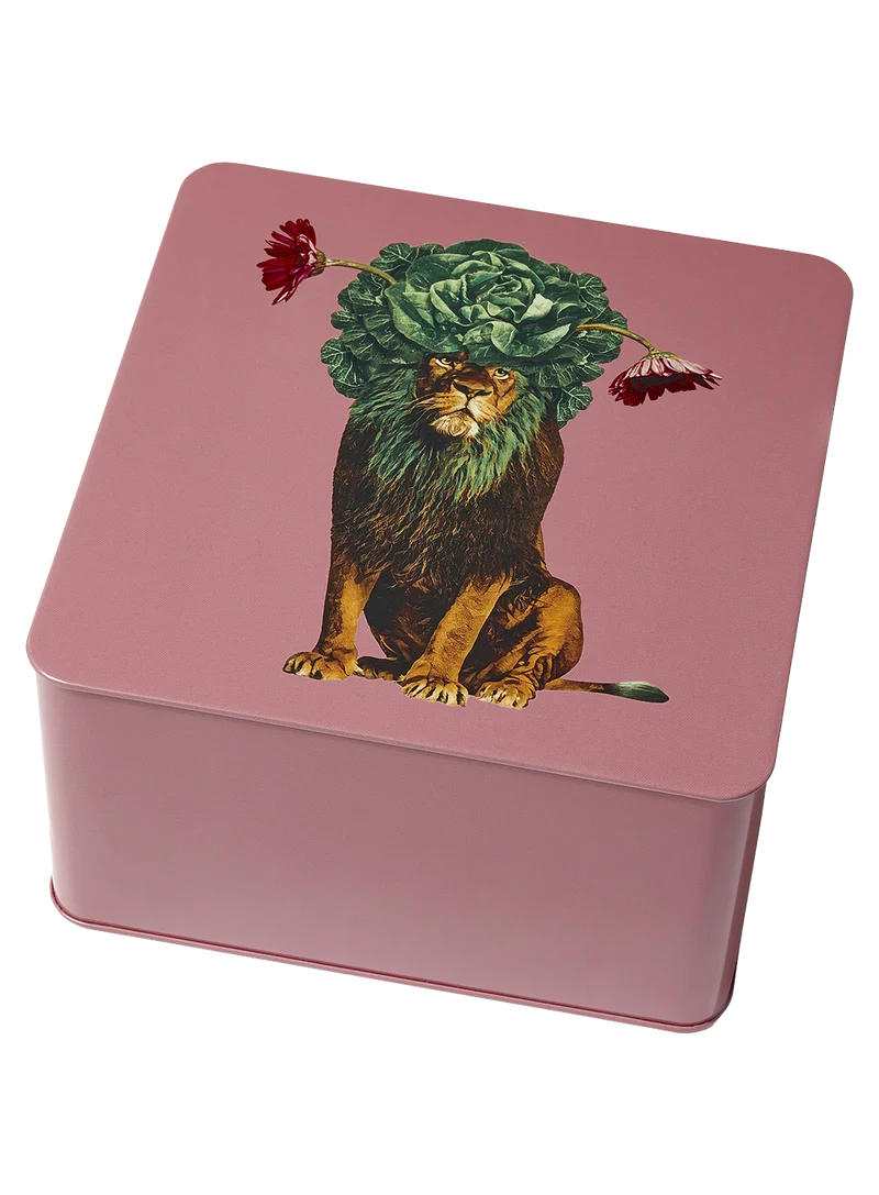 Caja Metálica Léo