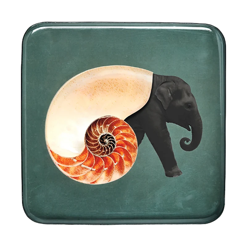 Bandeja Shellephant