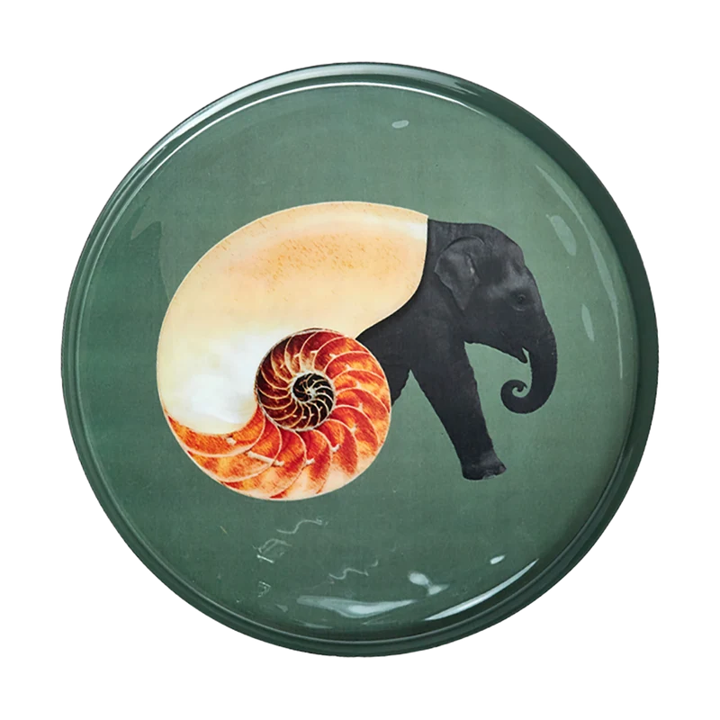 Bandeja Platro Shellephant