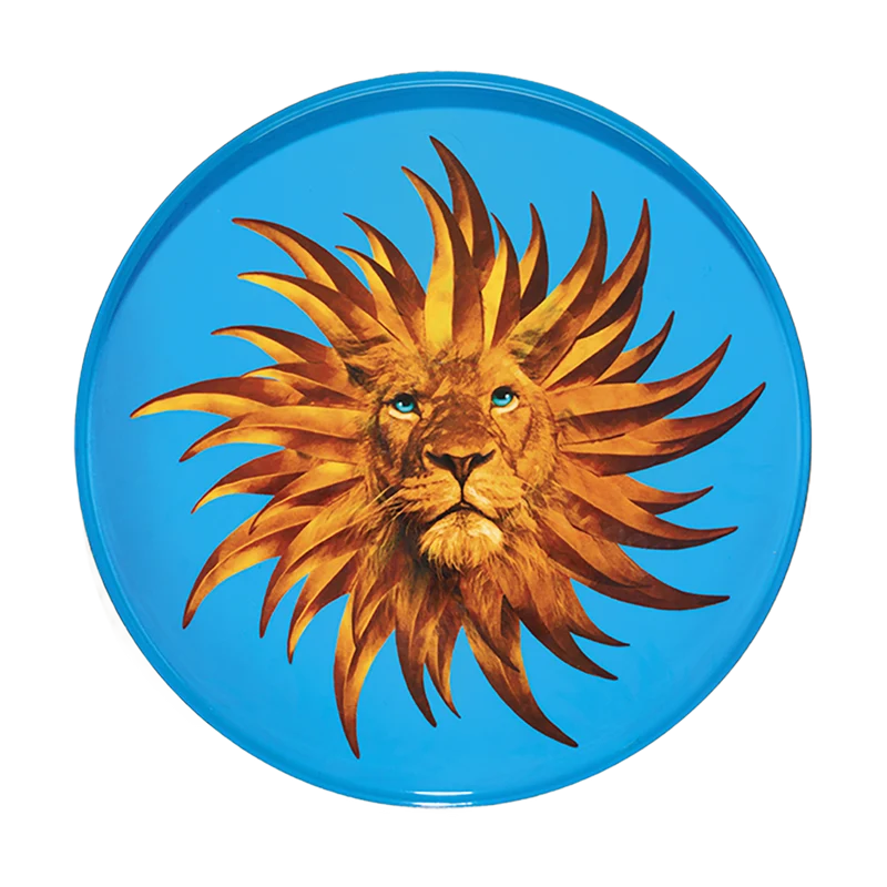 Bandeja Solarking