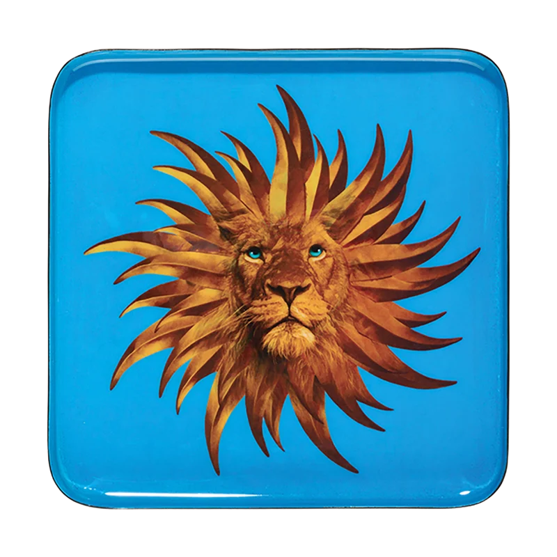 Bandeja Solarking