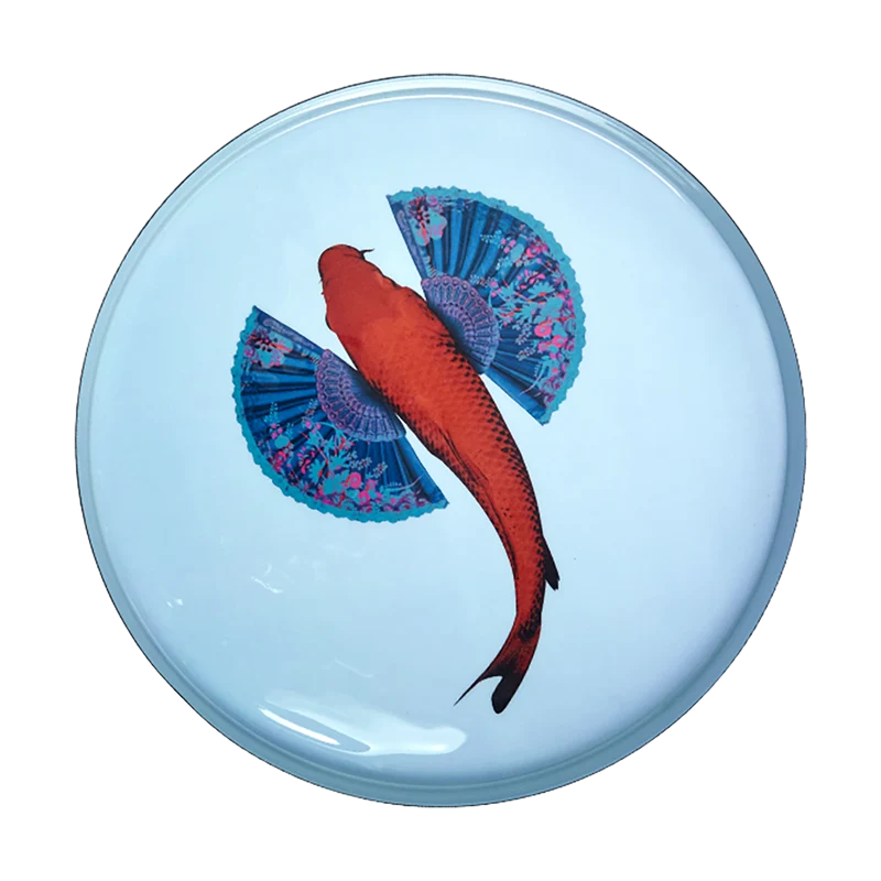 Bandeja Fishkoï