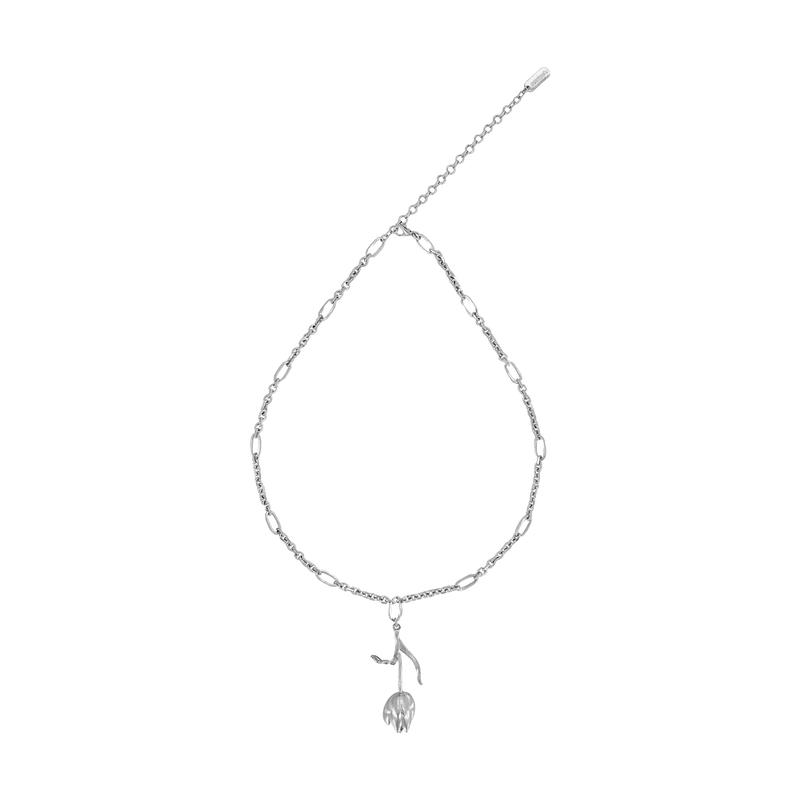Collar Primrose