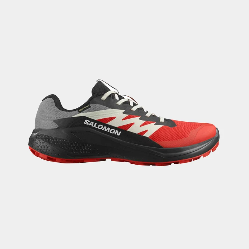Zapatillas De Trail Running Salomon Alphaglide GorE-Tex