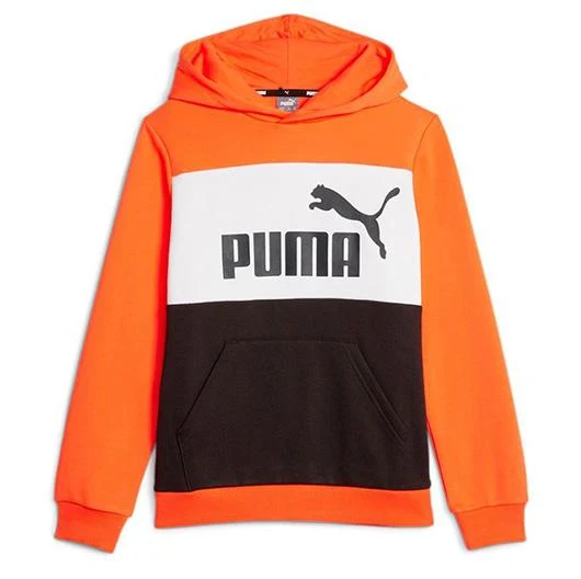 Puma Sudadera Essentials + Colourblock